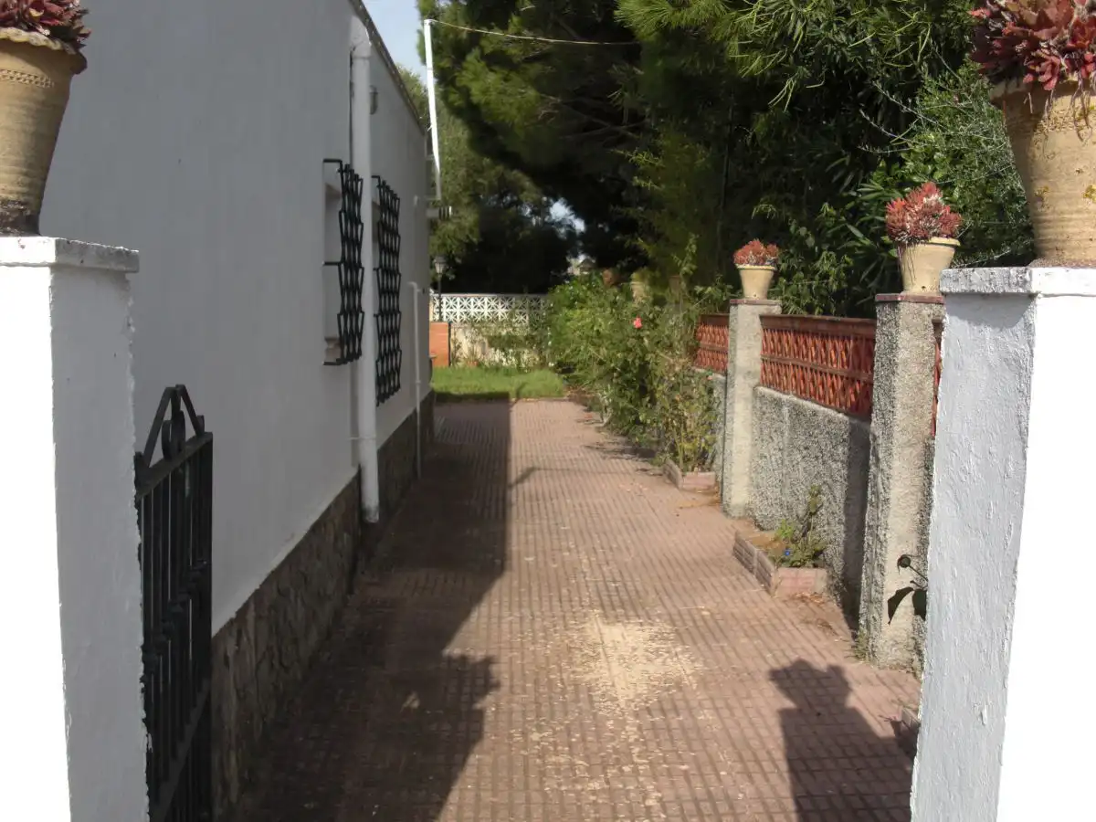 Maison rustique à vendre à Vejer, imagen 24