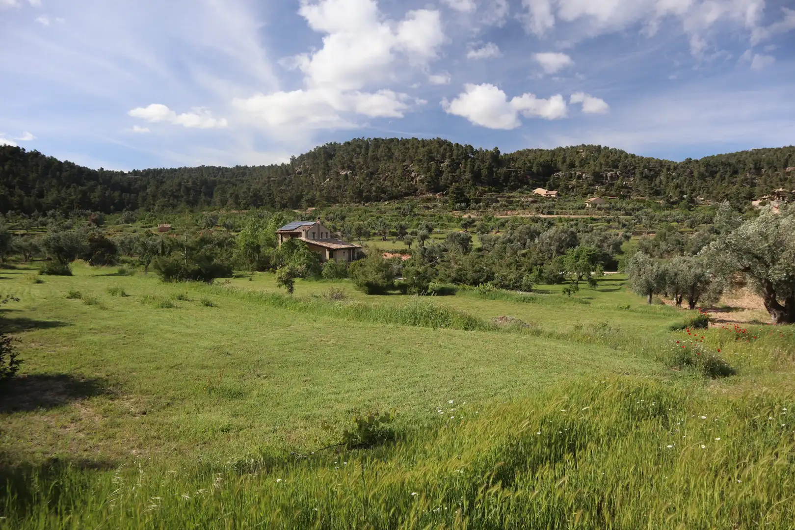 Terreni e lotti in vendita a La Fresneda, imagen 23