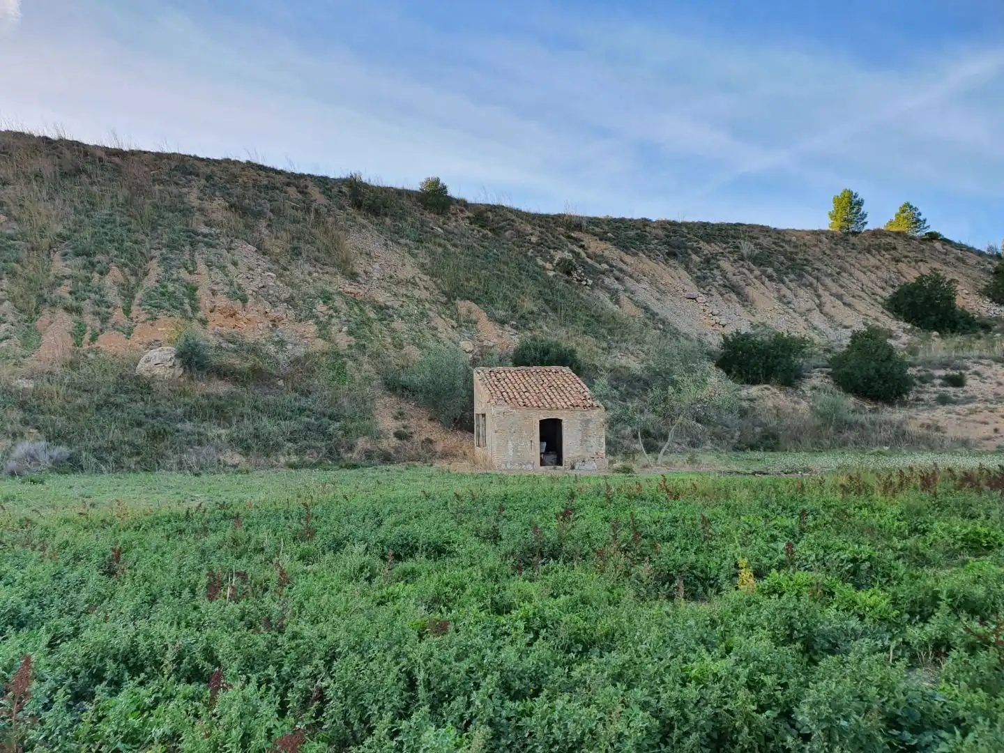 Terrain résidentiel à vendre à Xerta, imagen 11