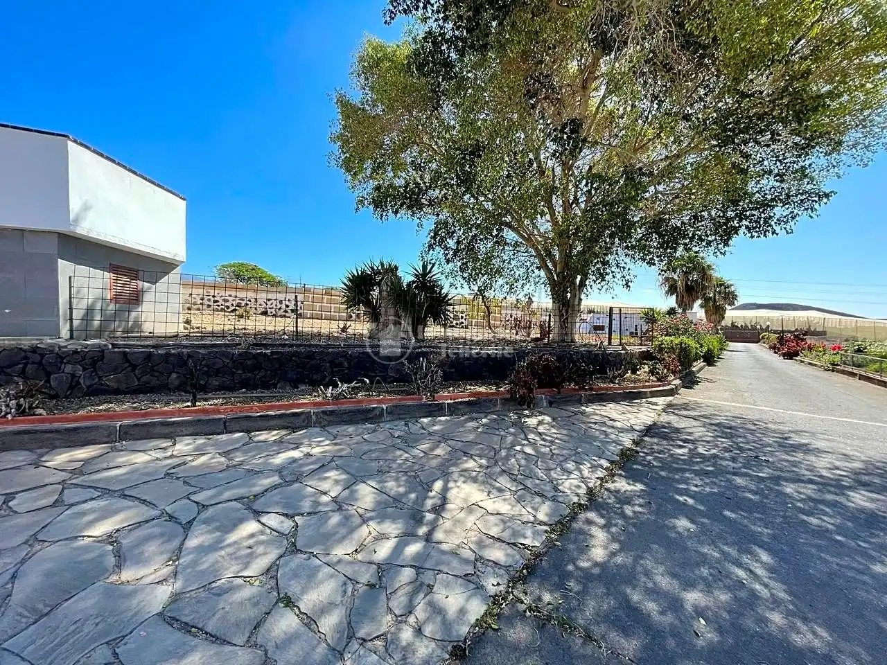 Vista exterior de Casa o chalet en venta en Arona con Jardín privado, Terraza y Piscina