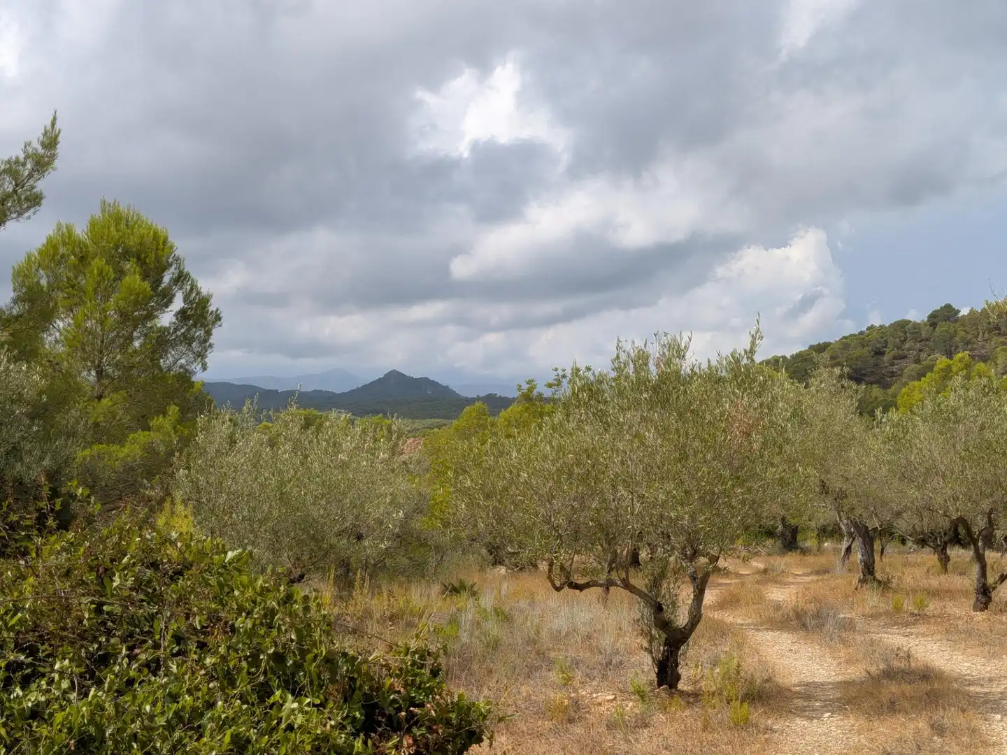 Maison rustique à vendre à Camino  Tivissa 51, imagen 45