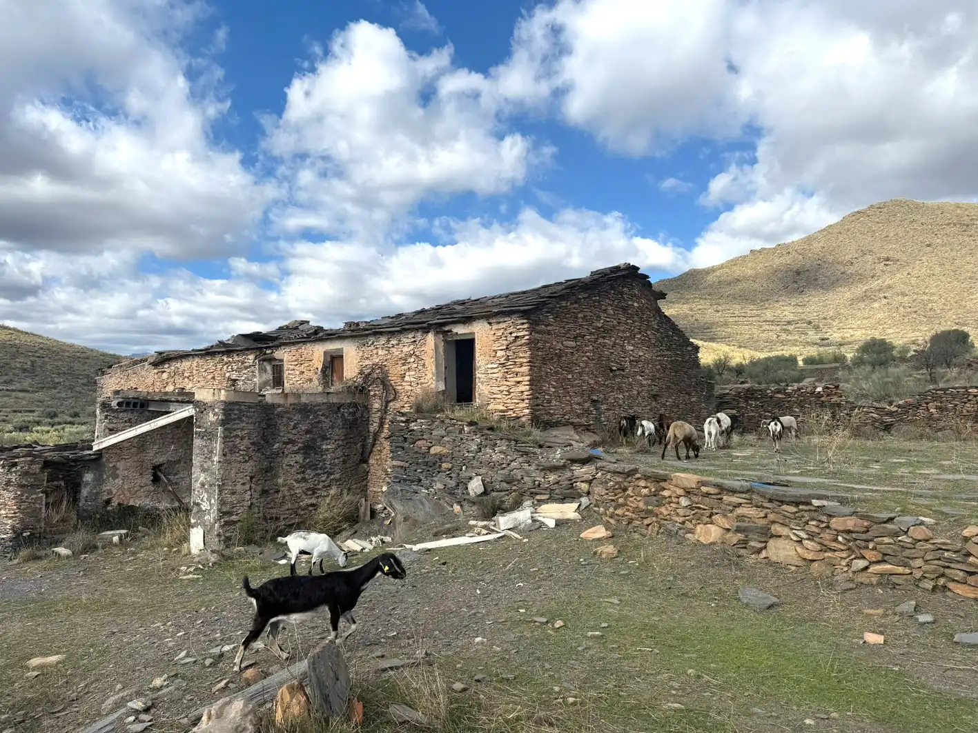 Rural land for sale in Senés, imagen 2