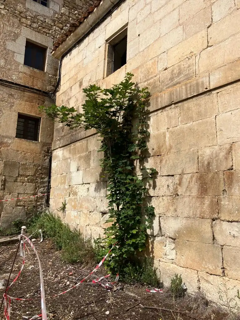 Vista exterior de Finca rústica en venta en Merindad de Valdivielso con Jardín privado