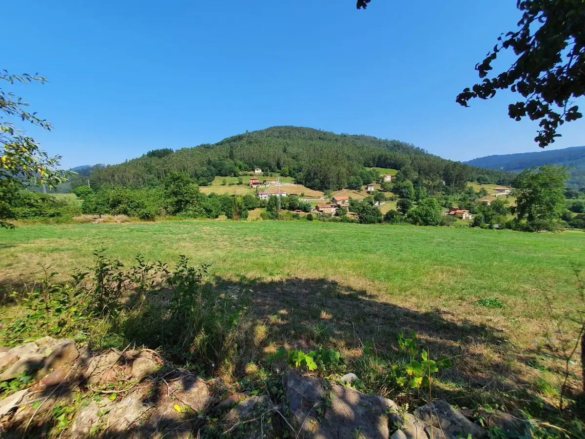 Terrenos y solares en venta en Salas, imagen 14