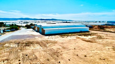 Photo 3 of Industrial buildings for sale in Diseminado Saladar y Leche, San Isidro - Campohermoso, Almería