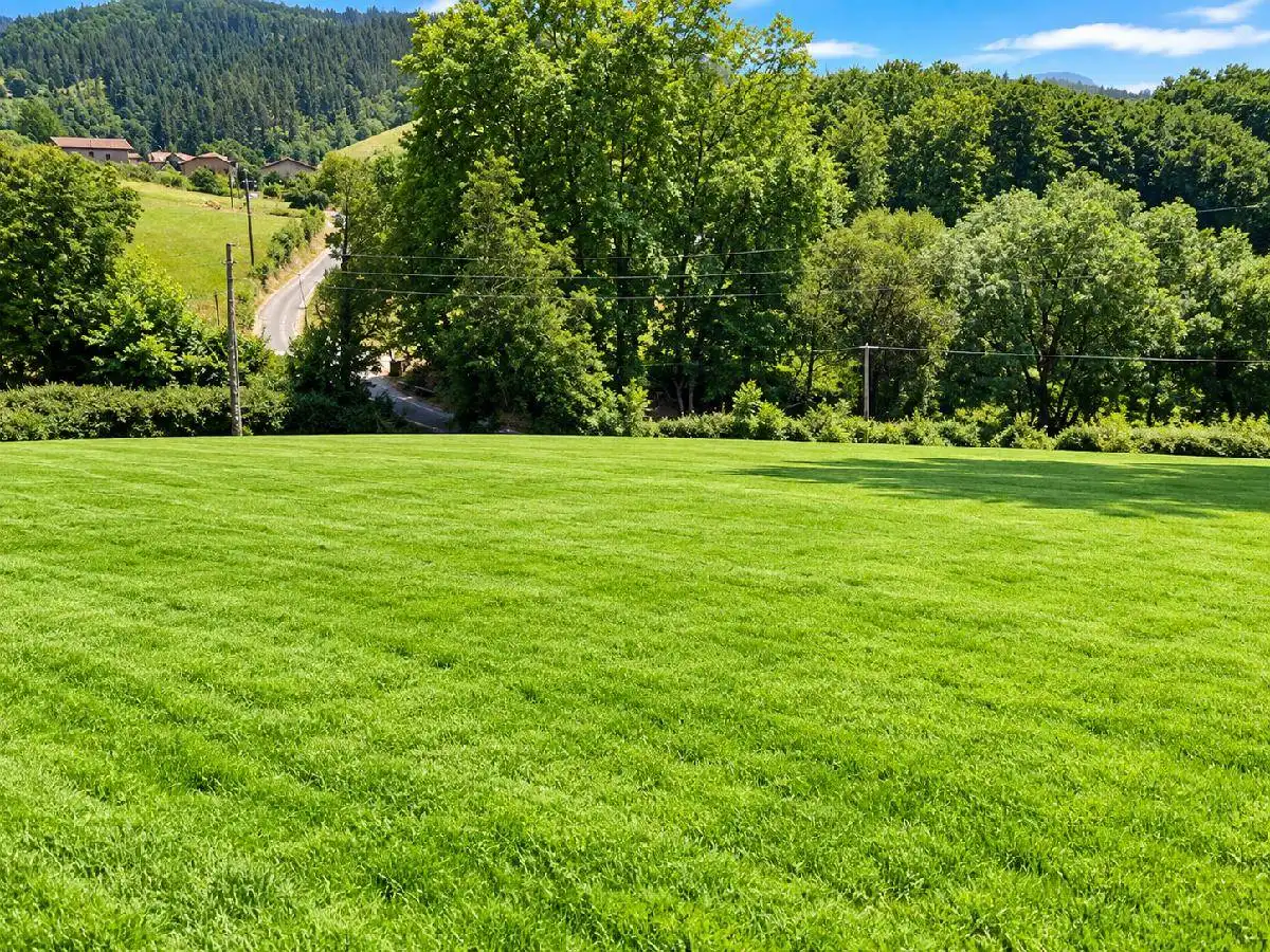Houses for sale in Amorebieta-Etxano, Bizkaia