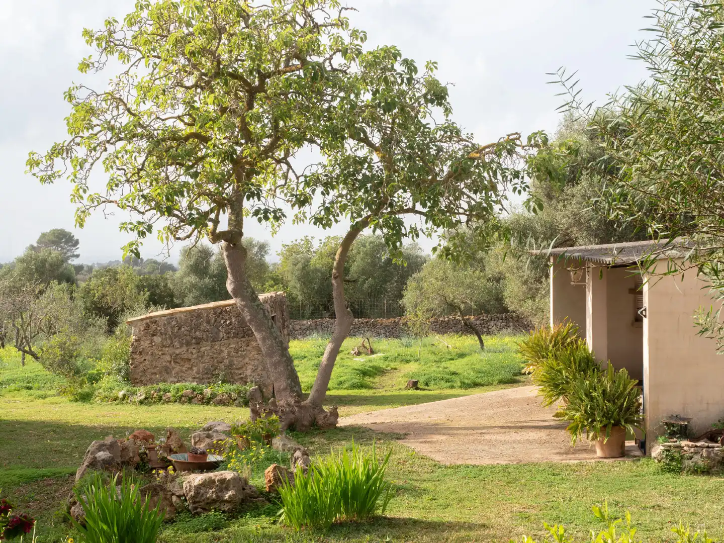 Jardí de Casa o xalet en venda en Marratxí amb Calefacció, Jardí privat i Terrassa