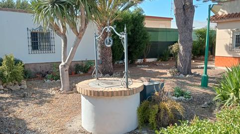 Foto 2 de Casa o xalet de lloguer a Pago Valdeconejos, 32, Chipiona Norte, Chipiona