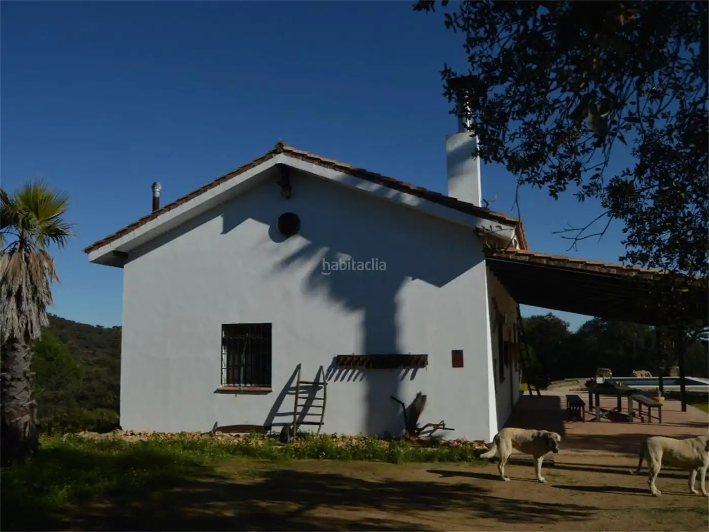 House for sale in Calle Bartolome Gomez 54, imagen 5