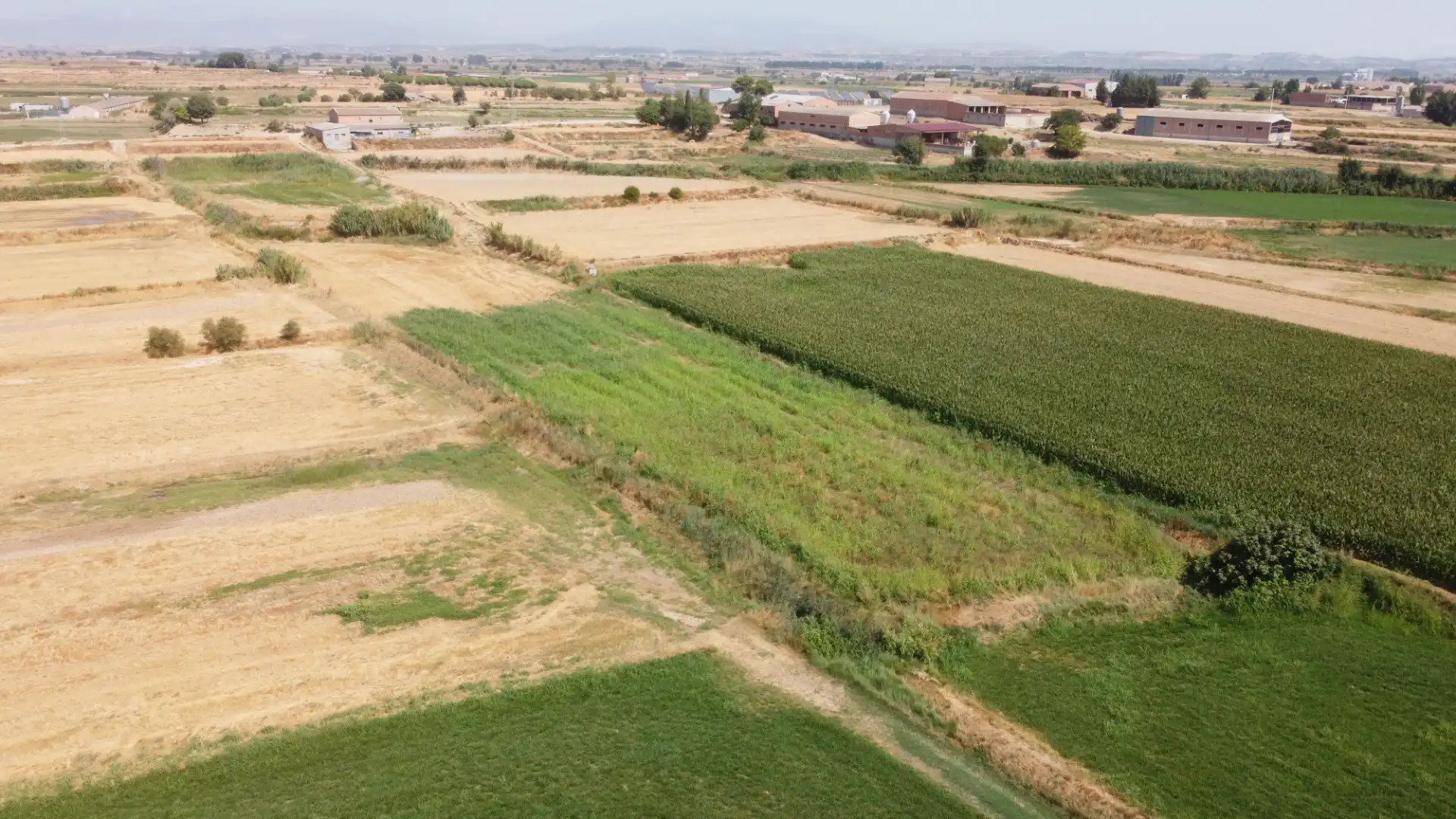 Land for sale in Linyola