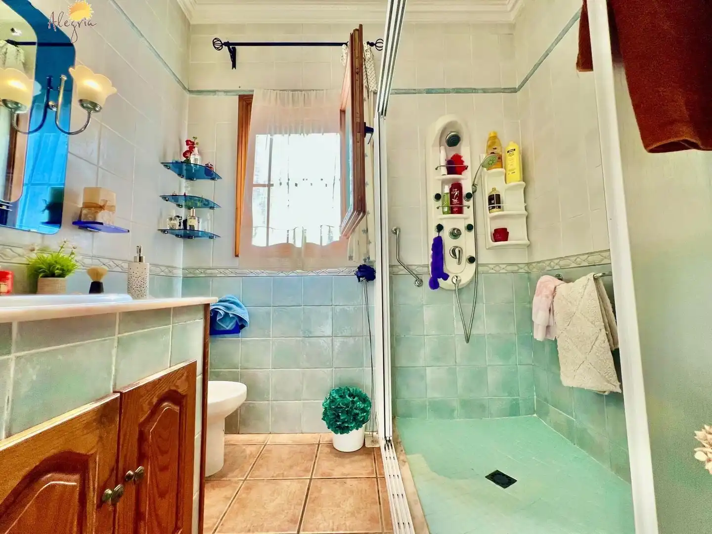 Villa avec piscine à vendre à Calle  Alcalde Joaquín Alberca, imagen 89