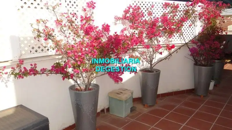 Terrasse von Dachboden zum Verkauf in Linares mit Klimaanlage, Heizung und Privatgarten