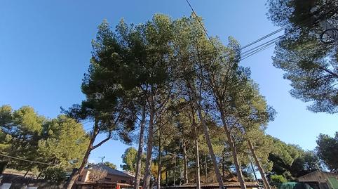 Foto 4 de Casa o xalet en venda a Tibi, Alicante