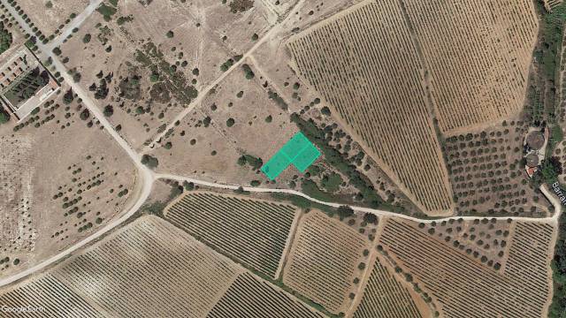 Terreno en Venta en C/ Llevant  en Sant Jaume dels Domenys