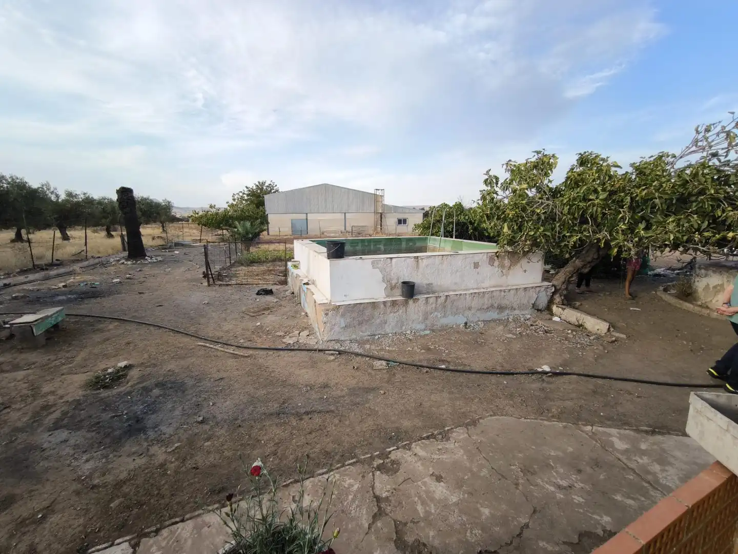 Finca rústica en venda en El Viso de San Juan