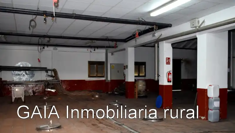 Adossat en venda a Maella, imagen 11