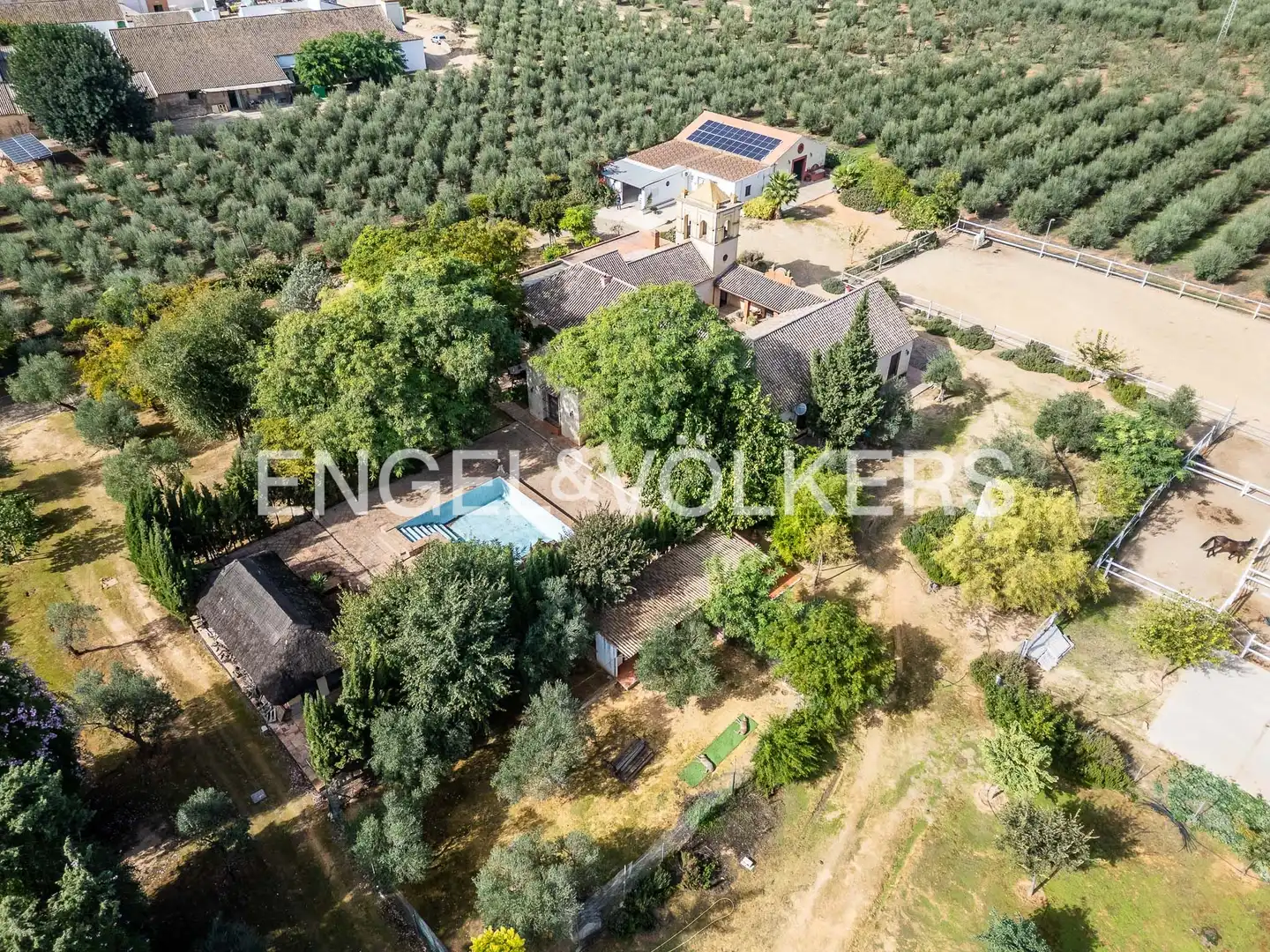 Maison avec jardin à vendre à Bollullos de la Mitación, imagen 5