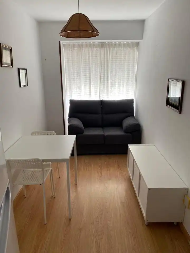 Sala de estar de Piso de alquiler en Santiago de Compostela  con Amueblado