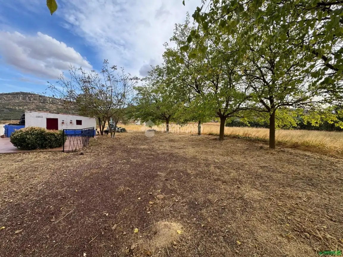 Casa rustica con piscina in vendita a Almagro, imagen 9
