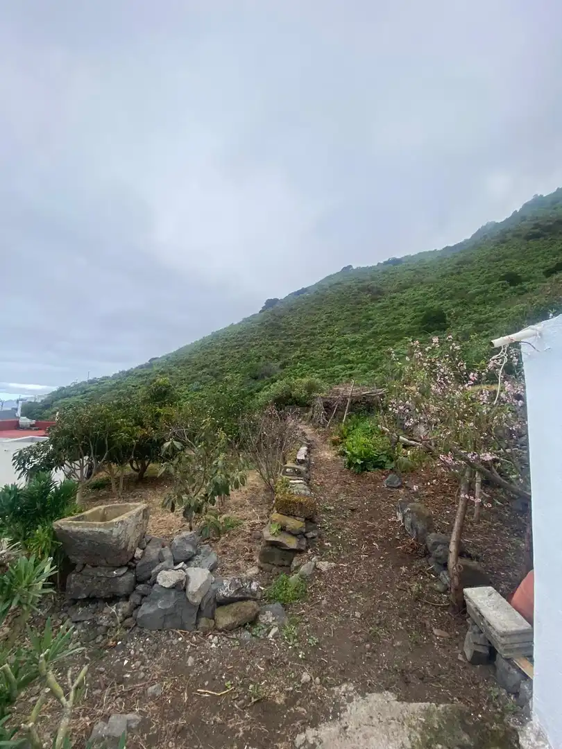 Casa o xalet en venda en Frontera amb Jardí privat