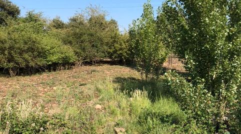 FINCA RÚSTICA - ENTRENA (), immagine 4