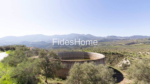 Foto 4 de Finca rústica en venta en Wcr3+9fx Saleres, 18658, el Valle, Granada, Españ, El Valle, Granada
