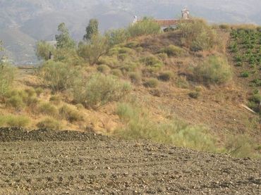 Terreno residenziale in vendita a Sedella