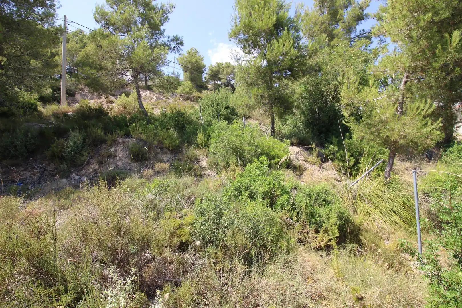 Terreny residencial en venda a Carrer de la Mallerenga 18, imagen 17
