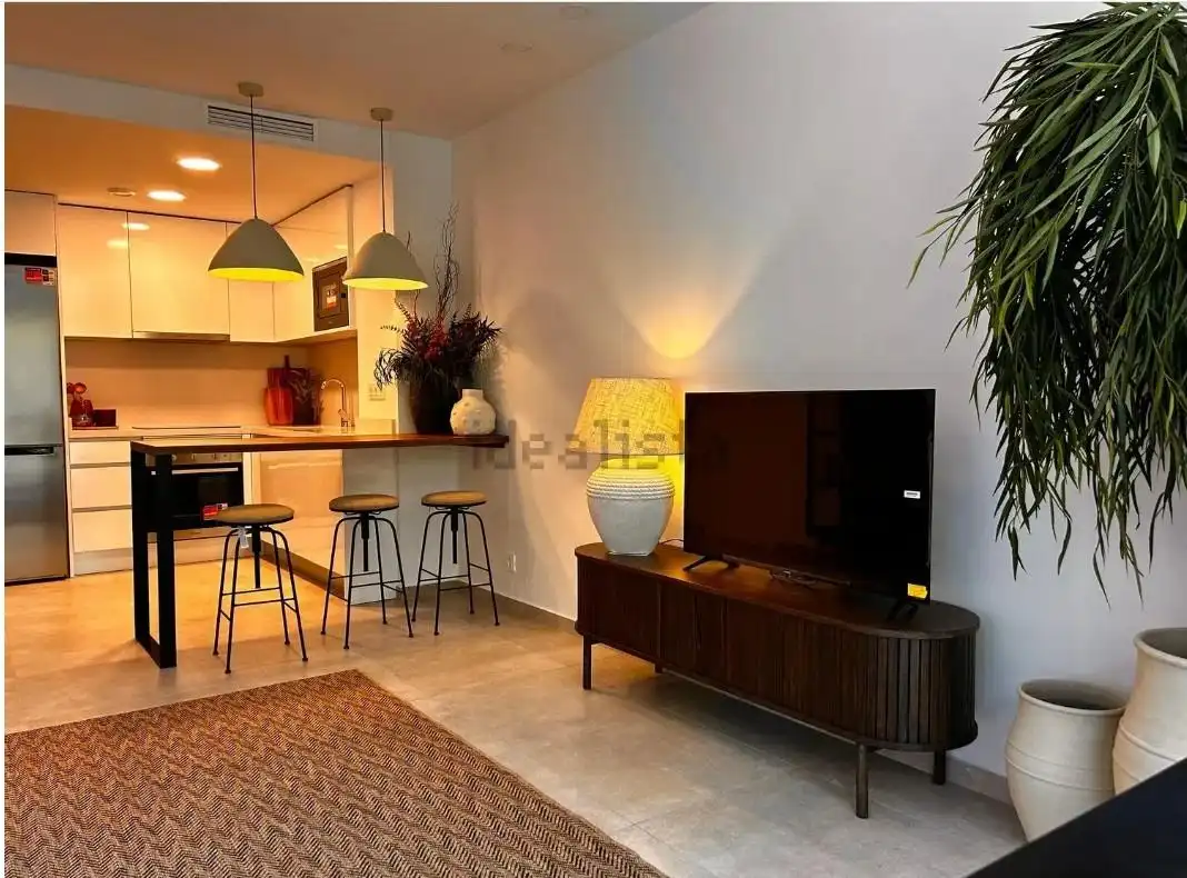 Sala de estar de Piso de alquiler en Alicante / Alacant con Aire acondicionado, Calefacción y Amueblado