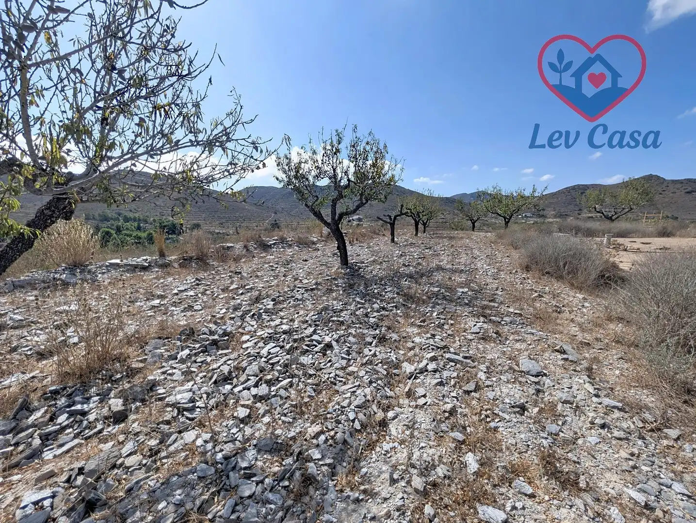 Terreno rustico in vendita a Playa del Galán, imagen 4