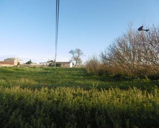 Land for sale in Albalate de Cinca