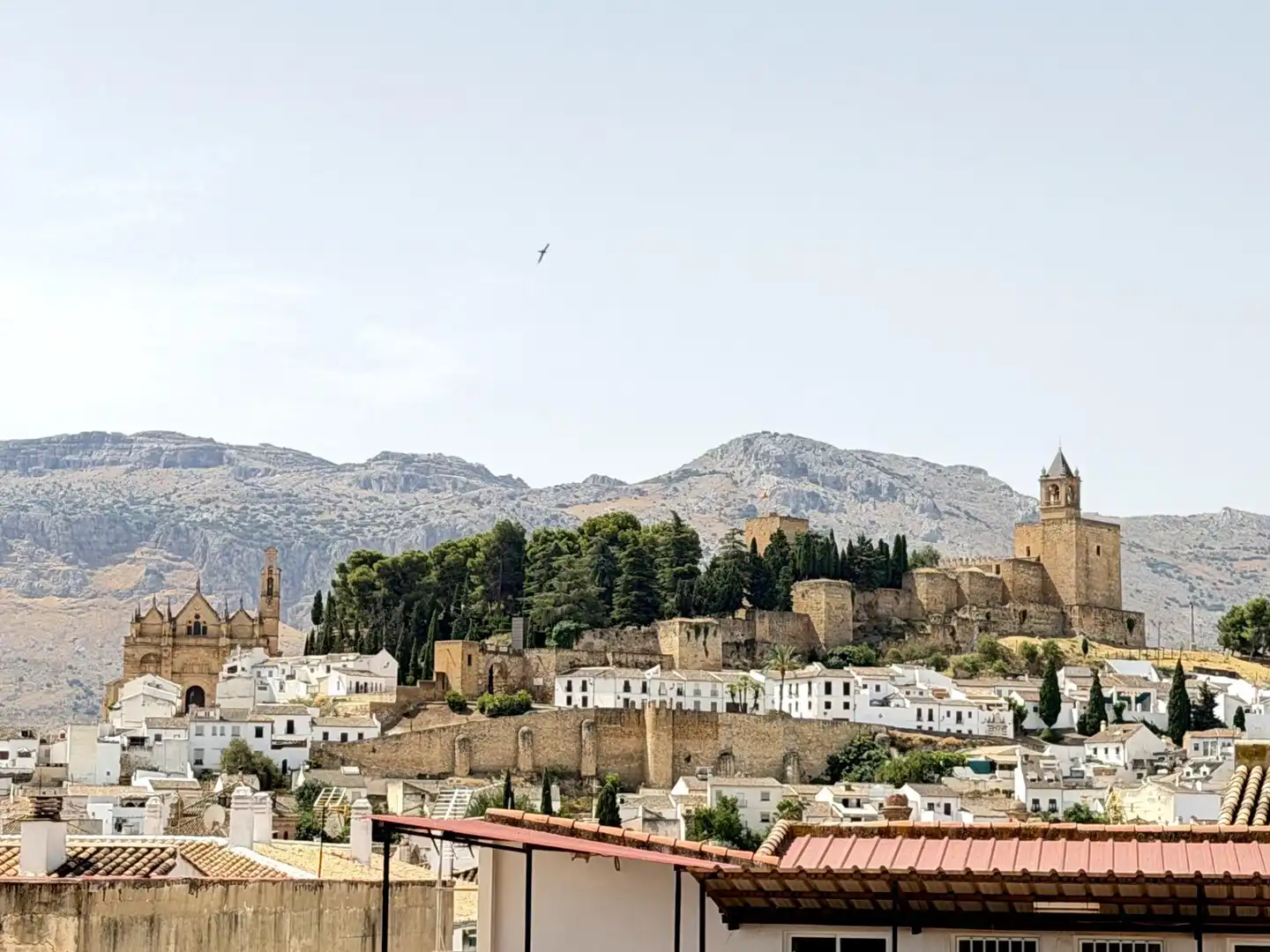 Flat with terrace for sale in Cueva de Menga, imagen 29
