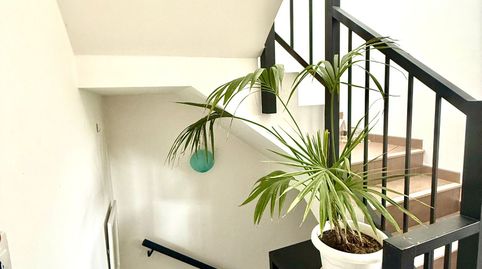 Foto 4 de Dúplex en venta en Calle Comadronas, 9, Facinas, Tarifa