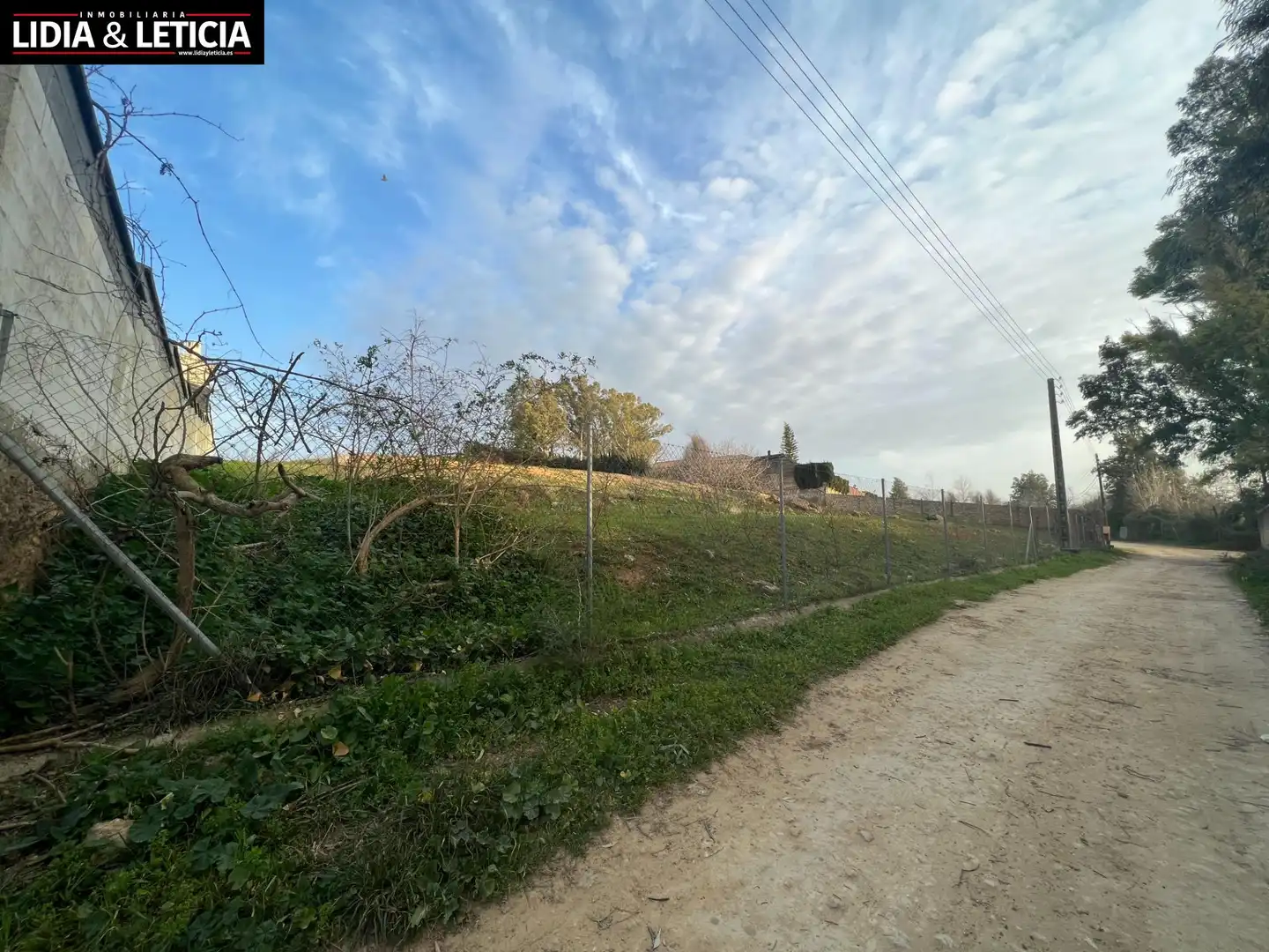Rural land for sale in Nueva Alcalá