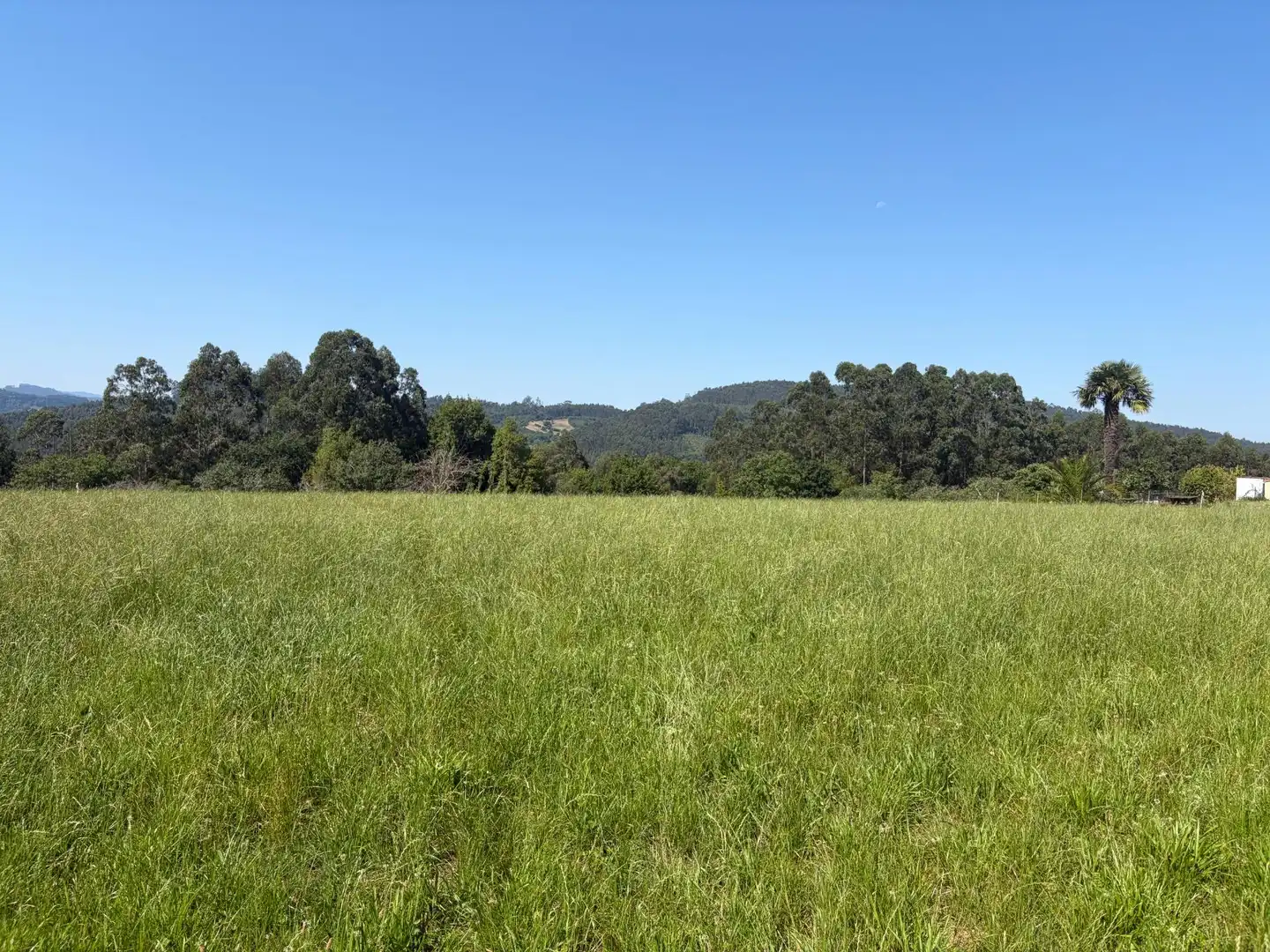 Residencial en venta en Colunga