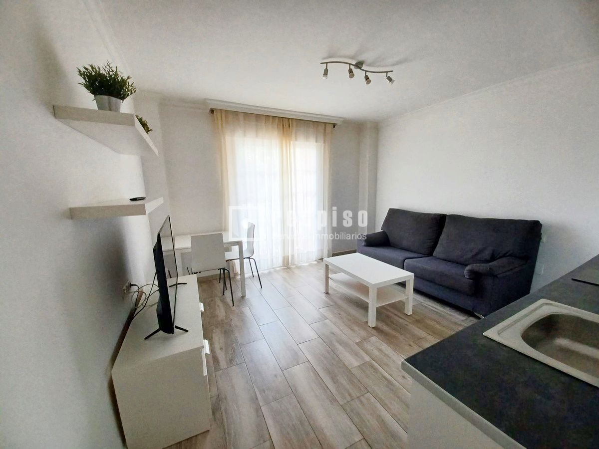 Living room of Flat for rent in Málaga Capital  with Terrace