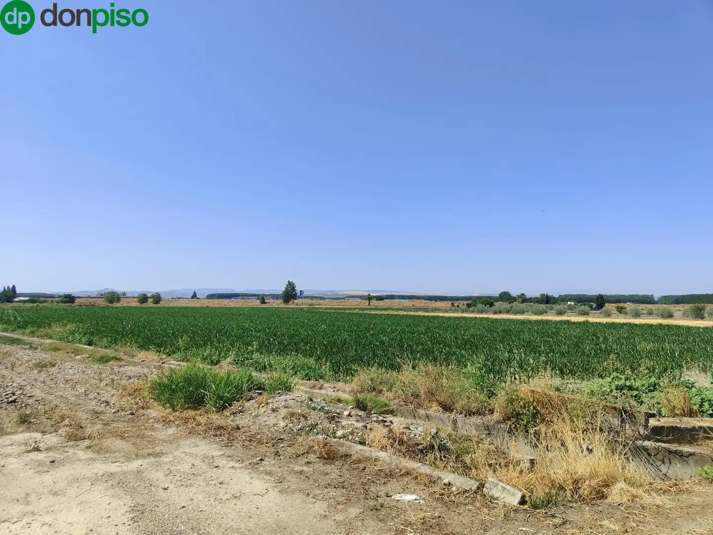 Terreni e lotti in vendita a Carretera Carretera de Pinos Puente, imagen 2