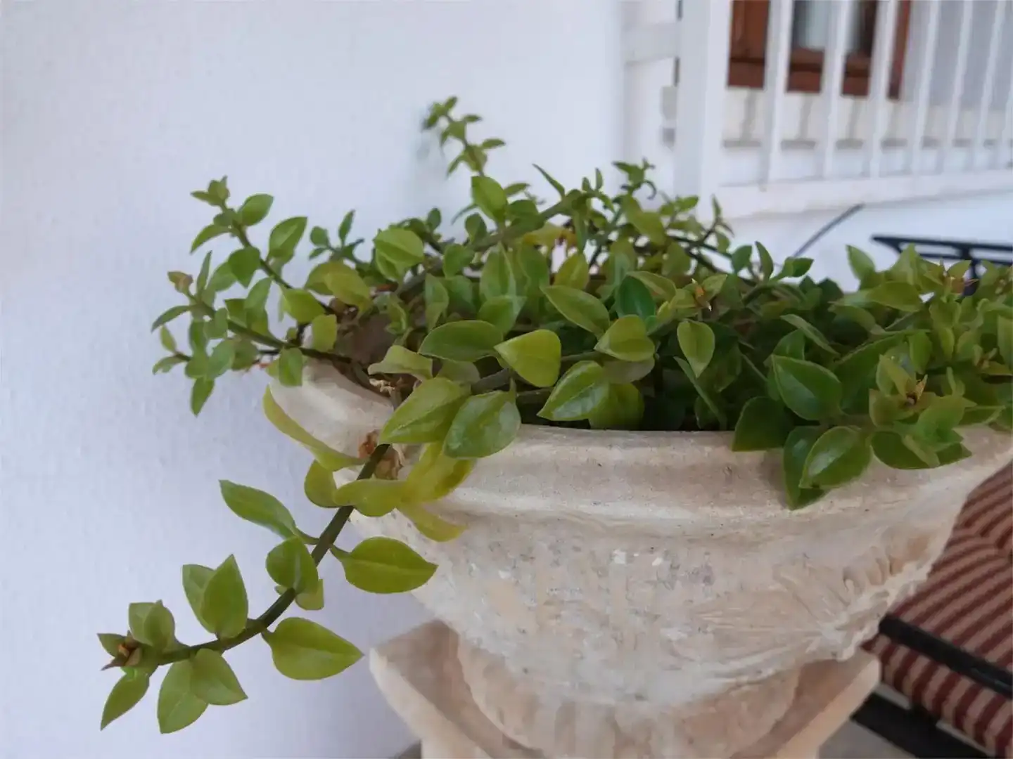 Terrasse von Wohnung zur Miete in Dénia mit Klimaanlage, Privatgarten und Schwimmbad