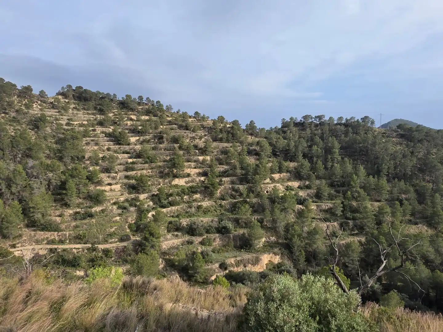 Terreno en venta en Sella