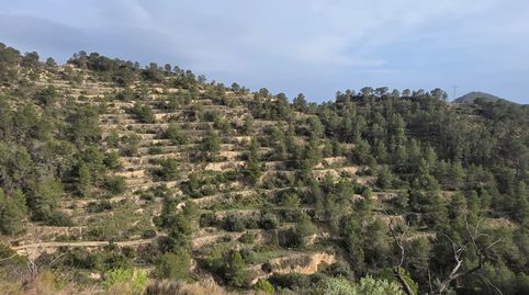 Foto 2 de Terreno en venta en Calle Jesús, Sella, Alicante