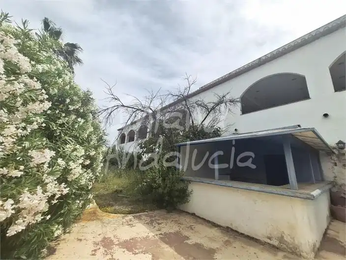 Local commercial à vendre à Loja, imagen 9