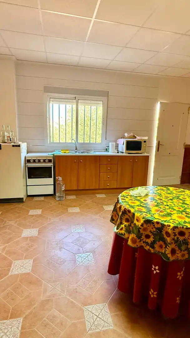 Cuina de Casa o xalet en venda en Albox amb Jardí privat