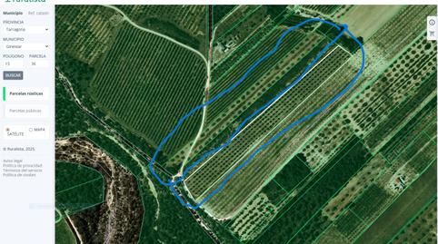 Photo 5 of Land for sale in Carrer Barcelona, Móra d'Ebre, Tarragona