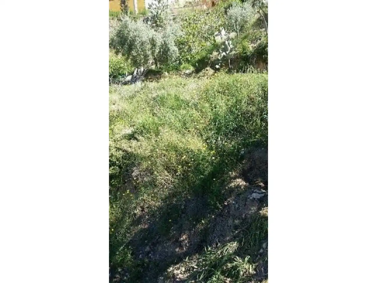 Terreno residencial en venta en Castellnou - Can Mir - Can Solà, imagen 4