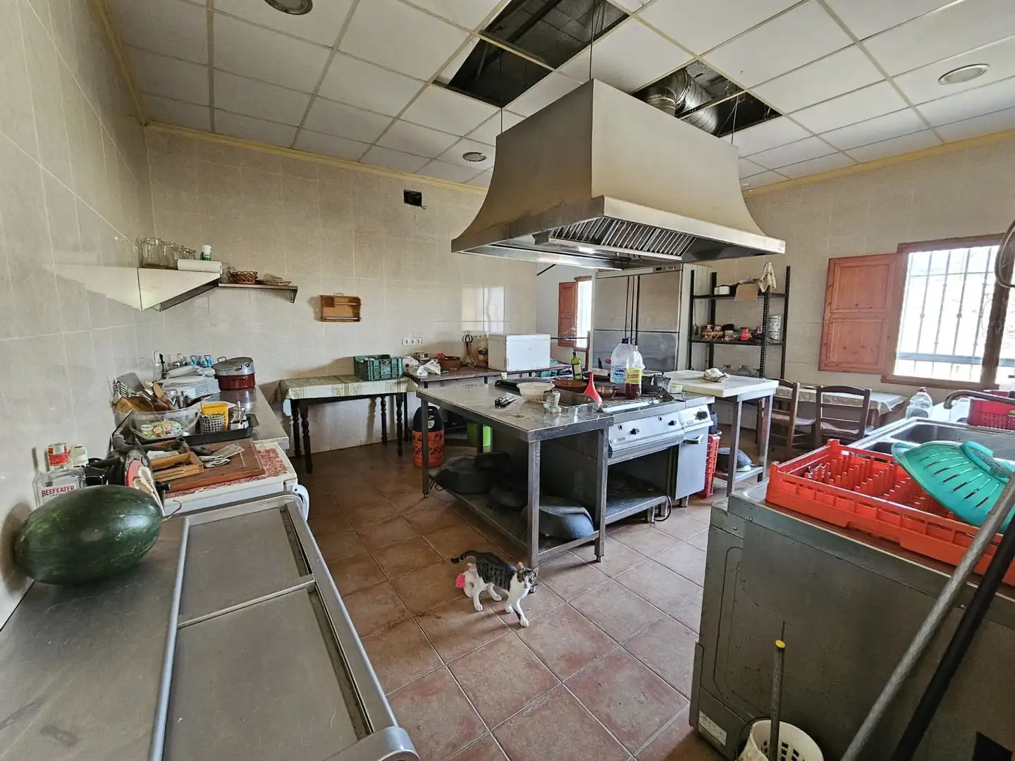 Local comercial en venda a A348 A ALBUÑOL, imagen 9