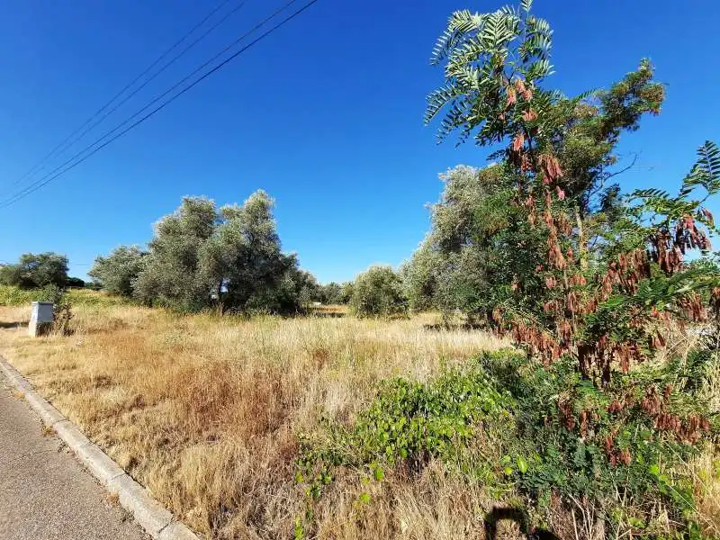 Terreno industrial en venta en Escalona
