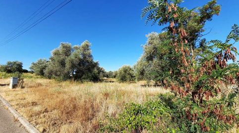 TERRENO DE 3.000 M2 PARA USO COMERCIAL EN INMEJORABLE ZONA DE ESCALONA, immagine 4