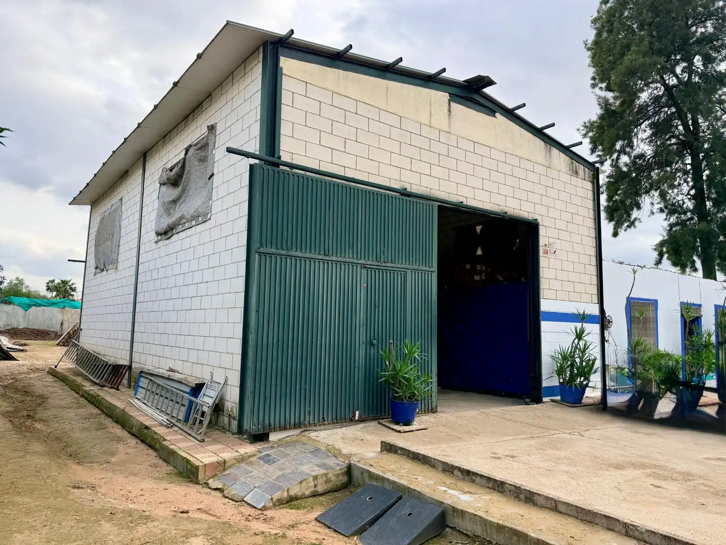 Vista exterior de Casa o chalet en venta en Carmona con Aire acondicionado, Jardín privado y Trastero
