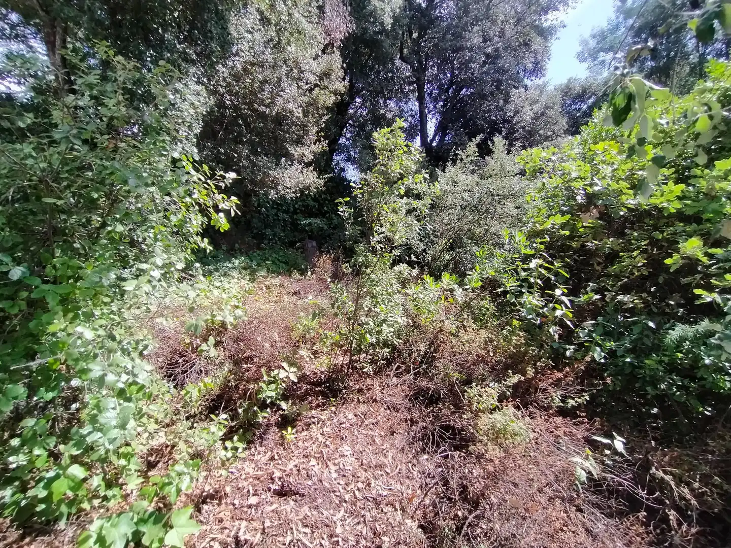 Terrenys i solars en venda a Can Massuet del Far, imagen 5