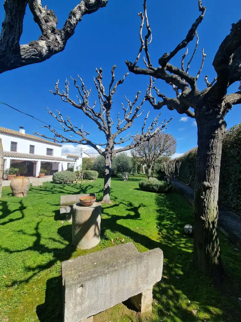Garten von Country house zum Verkauf in Mollerussa mit Klimaanlage, Heizung und Privatgarten